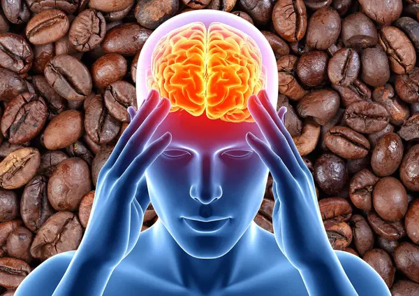 2-3 caff&egrave; al giorno proteggono dalla demenza? Cosa dice lo studio pi&ugrave; grande mai fatto dagli scienziati di Harvard