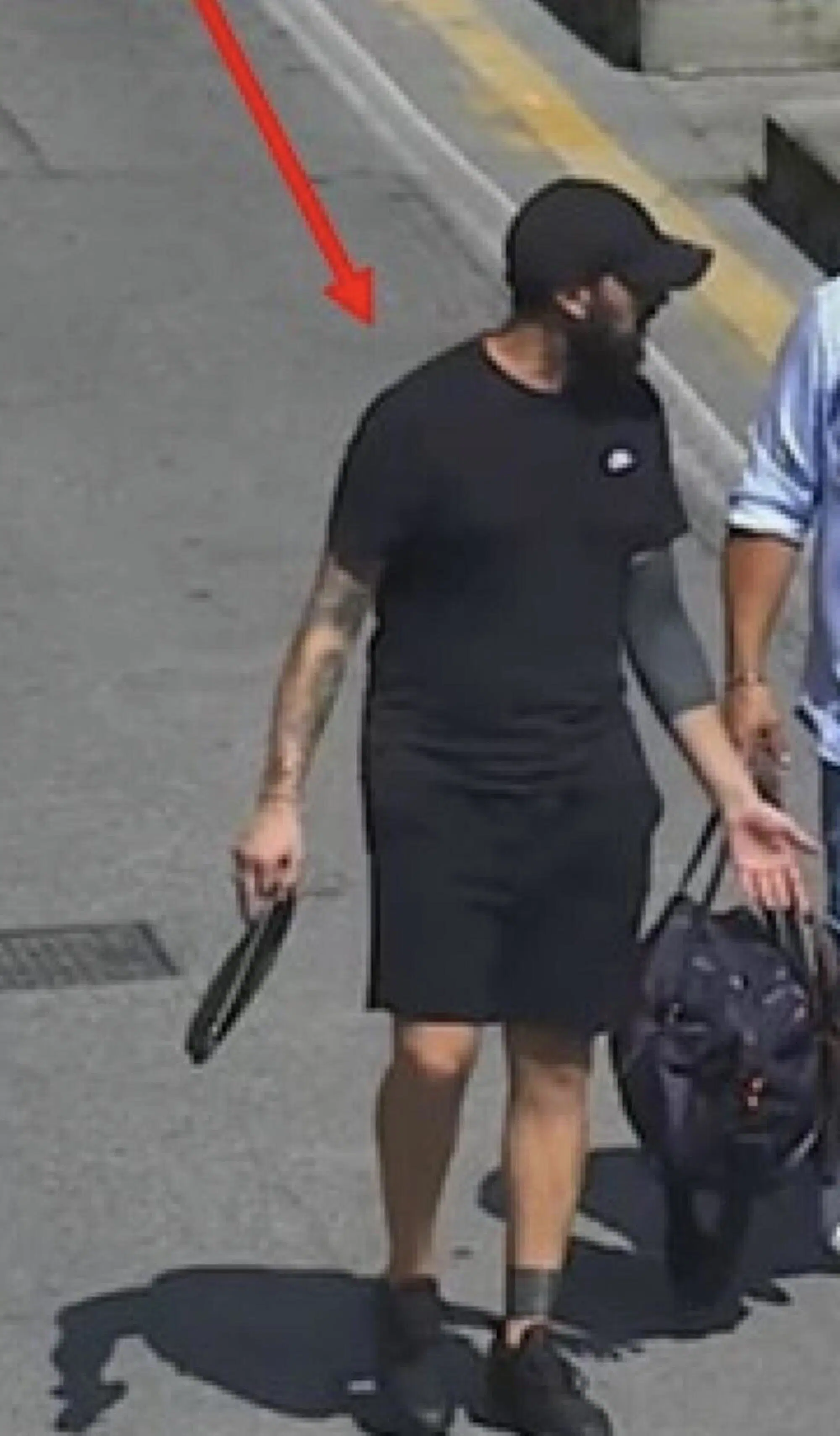 Daniel D'Alessandro, "Bellebuono"