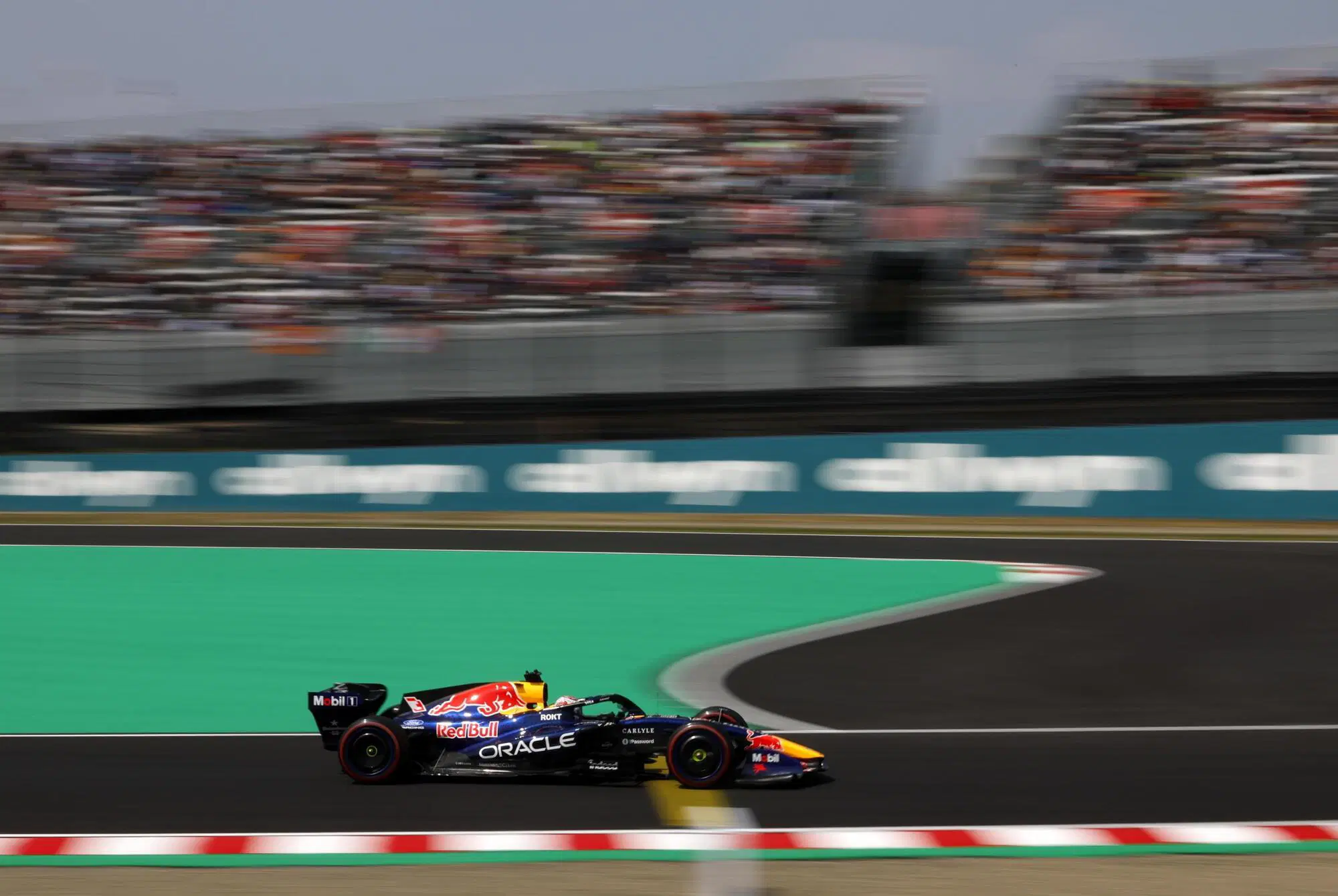 Max Verstappen Red Bull.