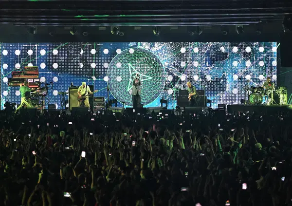 Sono svenuta al concerto dei Subsonica