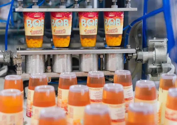 Se volete capire il bubble tea, non lo dovete capire: dovete iniziare a berlo