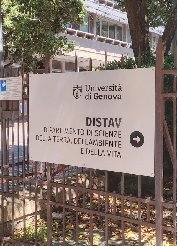Sub morti alle Maldive, lo studente della prof Montefalcone a MOW: "quello che non dimentico..."