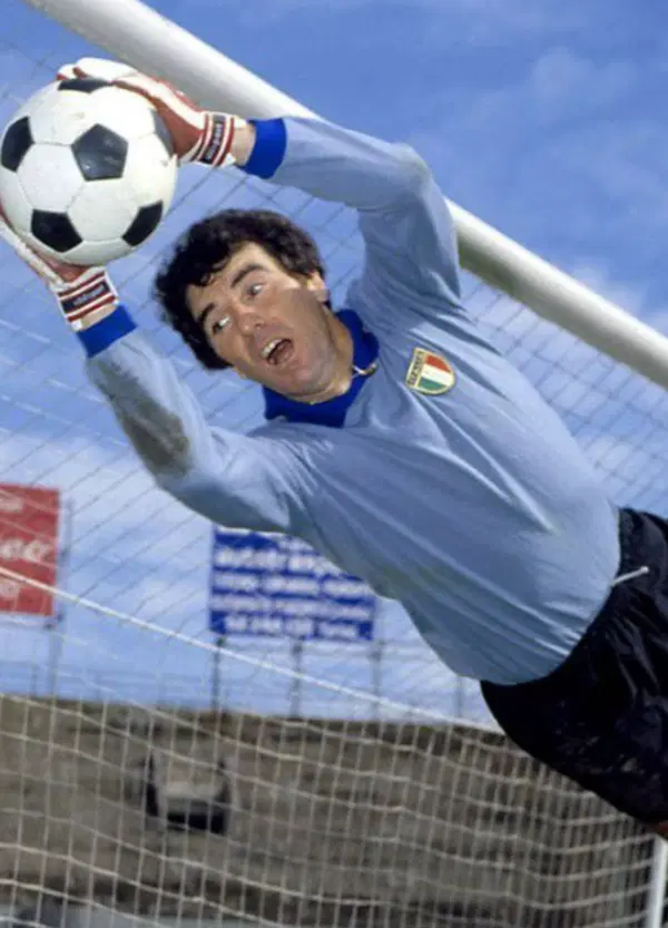 &ldquo;Quando c&rsquo;era lui&rdquo;, ma &egrave; Dino Zoff: la Rai ha preparato un docufilm per celebrare l&rsquo;Italia dei Mondiali, peccato che non ci andremo