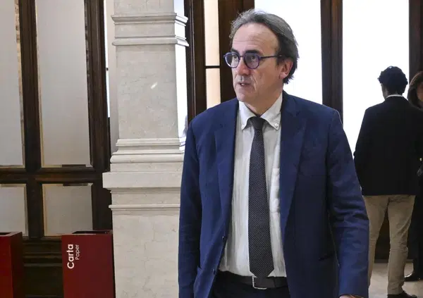 Chiamare i Verdi un partito di &ldquo;imbecilli&rdquo; non &egrave; reato se hai delle argomentazioni serie. L'Avvocato dell'atomo ce le aveva: &ldquo;diritto di critica&rdquo; basato su &ldquo;fonti tecnico-scientifiche&rdquo;. E ora ad Avs il nucleare costa caro per davvero