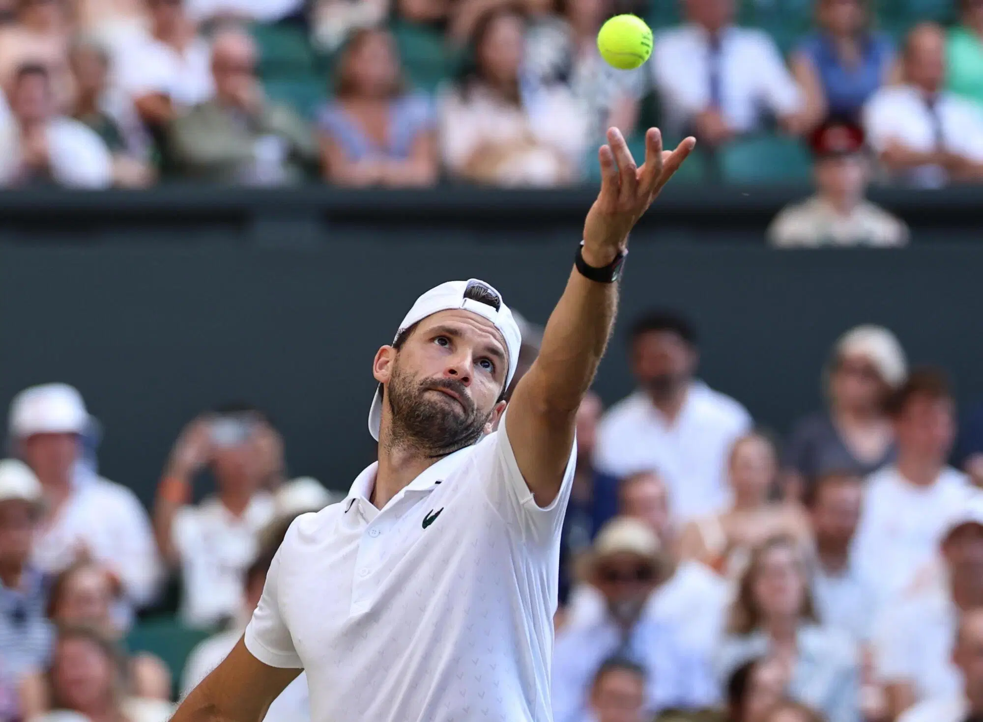 Grigor Dimitrov