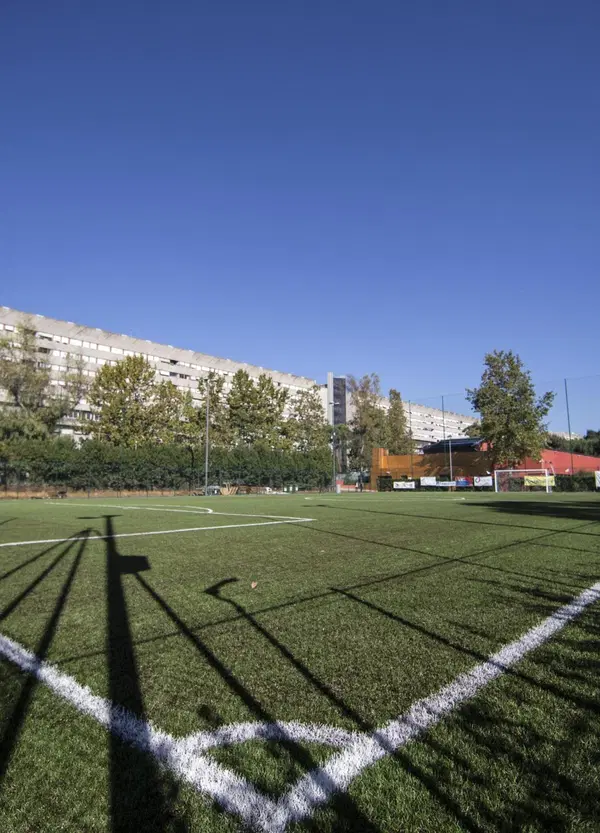 &ldquo;C'&egrave; il rischio di creare distorsioni cognitive sui ragazzi&rdquo;. Nelle scuole calcio ci sono troppe cose che non tornano