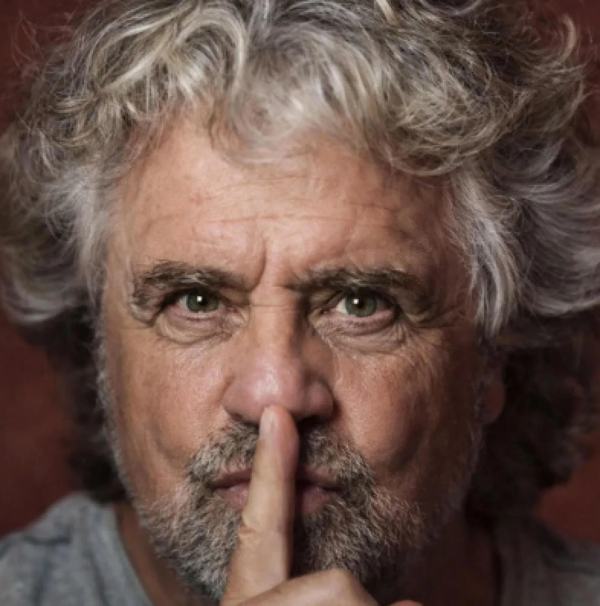 Beppe Grillo Ansa