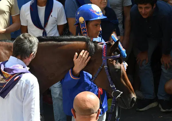 La vittoria del Palio di Siena, gli animalisti che insorgono e lui che non ricorda niente: la tremenda caduta di Titt&igrave;a al Palio dell&rsquo;Assunta spiegata bene