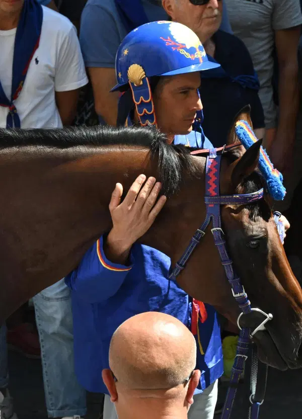 La tremenda caduta di Titt&igrave;a al Palio di Siena spiegata bene
