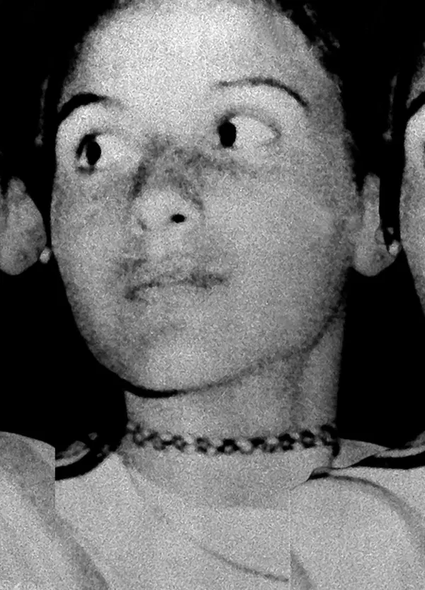 Caso Orlandi: &ldquo;Cercate Emanuela tra porporati e cardinali&rdquo;. Ok i dubbi su zio Mario Meneguzzi, la pista Accetti e la commissione, ma torna centrale Renatino De Pedis