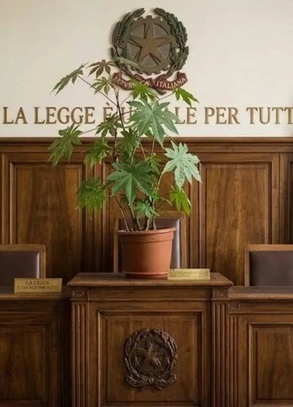 Mamma e figlia avvelenate a Natale: resta solo una domanda (su Gianni)