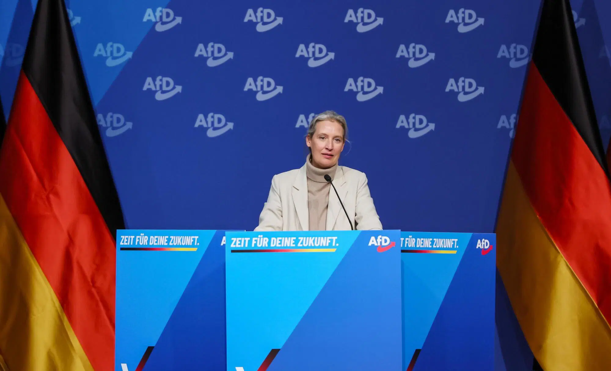 Alice Weidel Afd Ansa