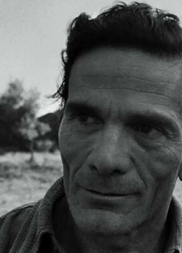&ldquo;Pasolini era un abusivo&rdquo;: la surreale vicenda della Torre di Chia e il rischio esproprio per l'ultimo studio del poeta